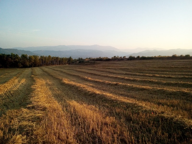 Solsona5